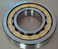 Cylindrical Roller Bearing NJ 215  4