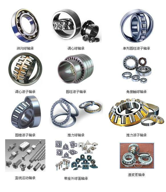 Self Aligning Roller Bearing  3