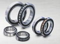 Angular Roller BEARING 7320 1