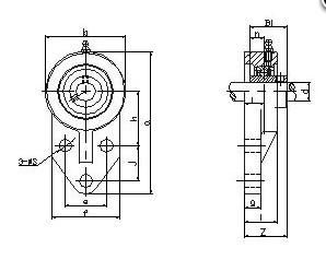 229750J/C3R505 - SKF 2