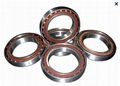 Angular contact bearing 1