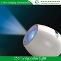 256 Living Color Light 1