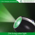 256 Living Color Light 2