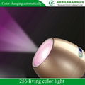 256 Living Color Light 3