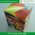 256 Living Color Light 5
