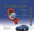 Air breathing cushion 1