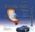 Air breathing cushion