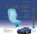 Air breathing cushion 1