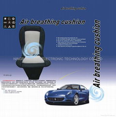 Air breathing cushion