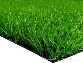 成都草坪地毯 4