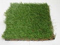 成都草坪地毯 5