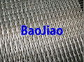 Stainless Steel Conveyor Belts 3