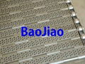 Stainless Steel Conveyor Belts 5