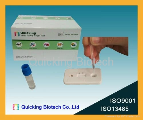 Salmonella Rapid Test 2