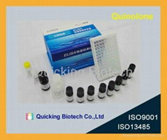 Ractopamine ELISA Kit