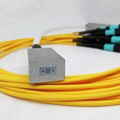 2D Fiber Array (Hot Product - 1*)