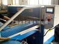 Bilateral transfer blister cutting machine