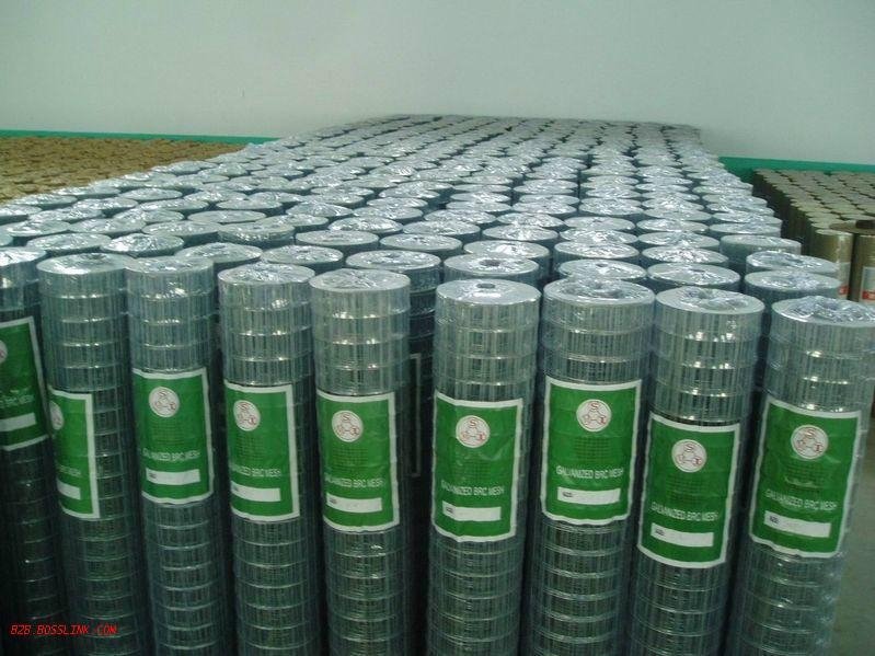 GD LOW PRICE welded wire mesh panel roll FACTORY 2