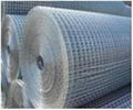 GD LOW PRICE welded wire mesh panel roll FACTORY 4