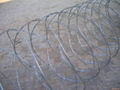 RAZOR BARBED WIRE FENCE 5