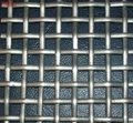 GD Crimped Wire Mesh