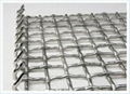 GD Crimped Wire Mesh 3