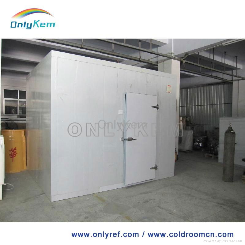 Cooling cold storage room for fresh fruits and vegetables 4