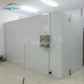 Industrial freezer for frozen meat with CE 1