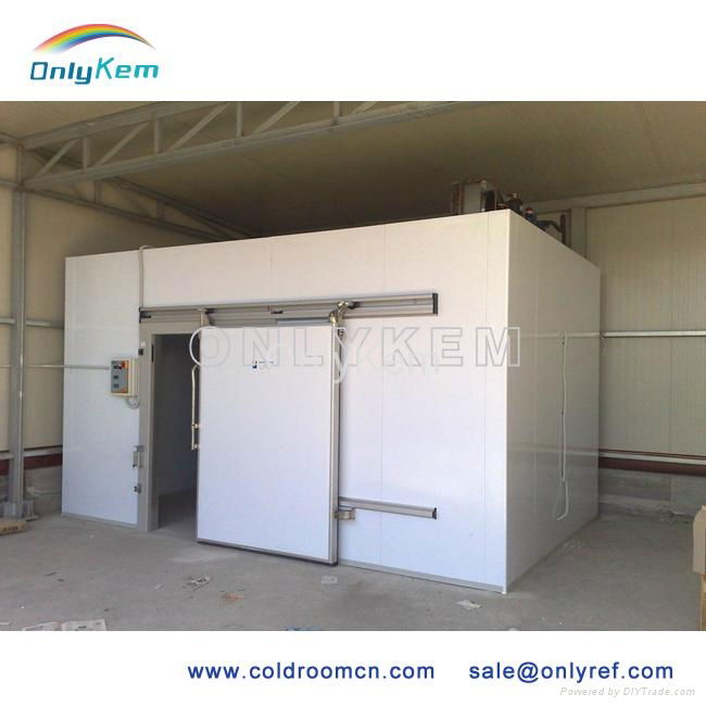 Industrial freezer for frozen meat with CE 3