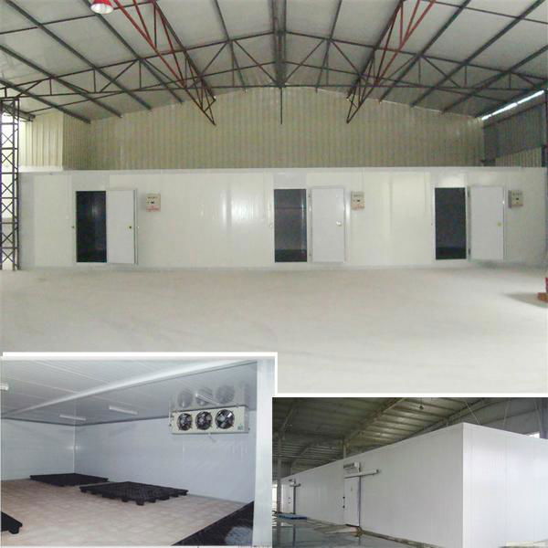 Cold storage room for fish meat  3