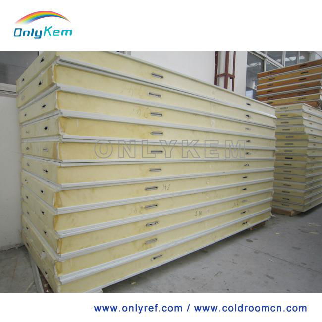 PU panels for cold room storage building 