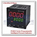 SAND PS4812 Digital pressure indicator manufacturer (SAND)