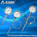 PT135 Series Melt pressure gauge (SAND)
