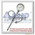 PT135 Series Melt pressure gauge (SAND)
