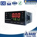 SAND PS4812 Digital pressure indicator manufacturer (SAND)