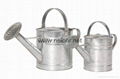 galvanized steel watering cans 2 Gallon 1