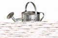 galvanized steel watering cans 2 Gallon 2