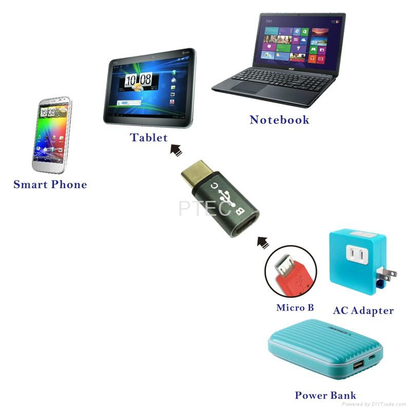 USB 3.1 Type C to Micro BF Adaptor 2