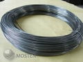 Tungsten Wire 1