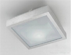 aluminum and acrylic ceiling lamp