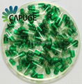 BSE Free Empty Capsules in all Sizes and