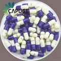 BSE Free Empty Capsules in all Sizes and Colors 4