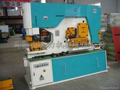 Q35Y series hydraulic iron worker