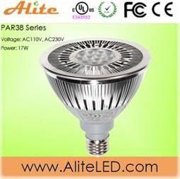 LED Spot Light PAR38