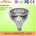 LED Spot Light PAR38