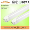 DLC LED T8 Tube