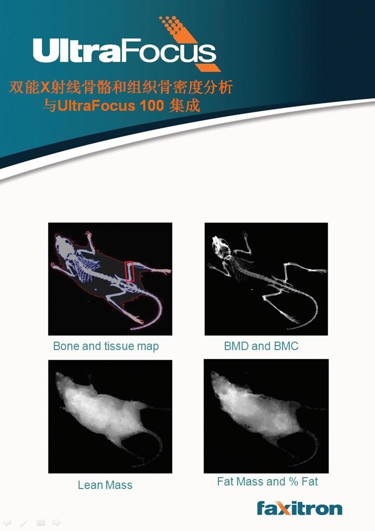 美國Faxitron生物學X射線小動物骨密度儀 2