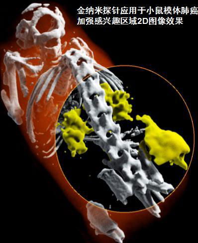 进口新西兰MARS小动物活体成像能谱扫描仪能谱仪 3