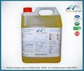Bulk Moisturizing Argan oil certified organic for wholesale 2