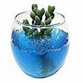 Gel Beads water gel-JS002 2